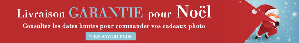 Livraison garantie avant Noël
